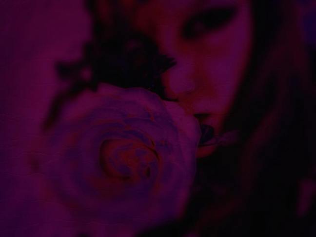 Le Spectre de la Rose